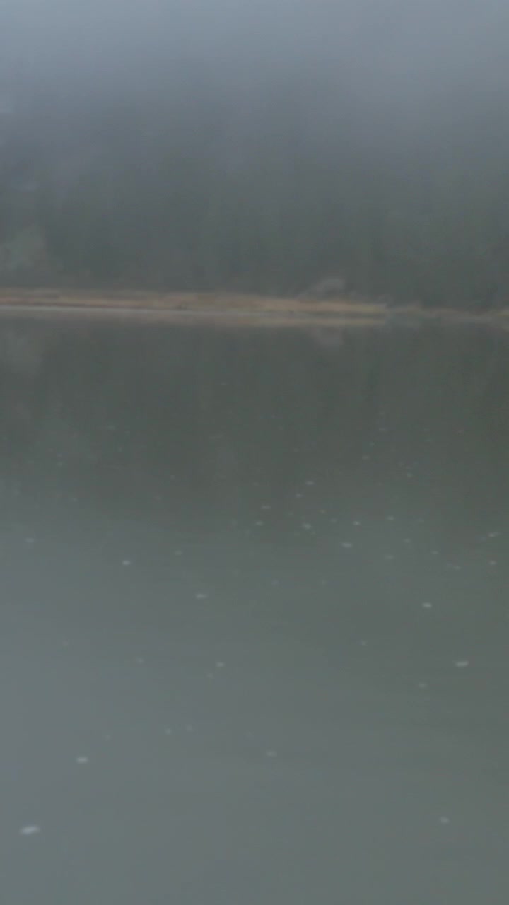 Misty Lake Landscape
