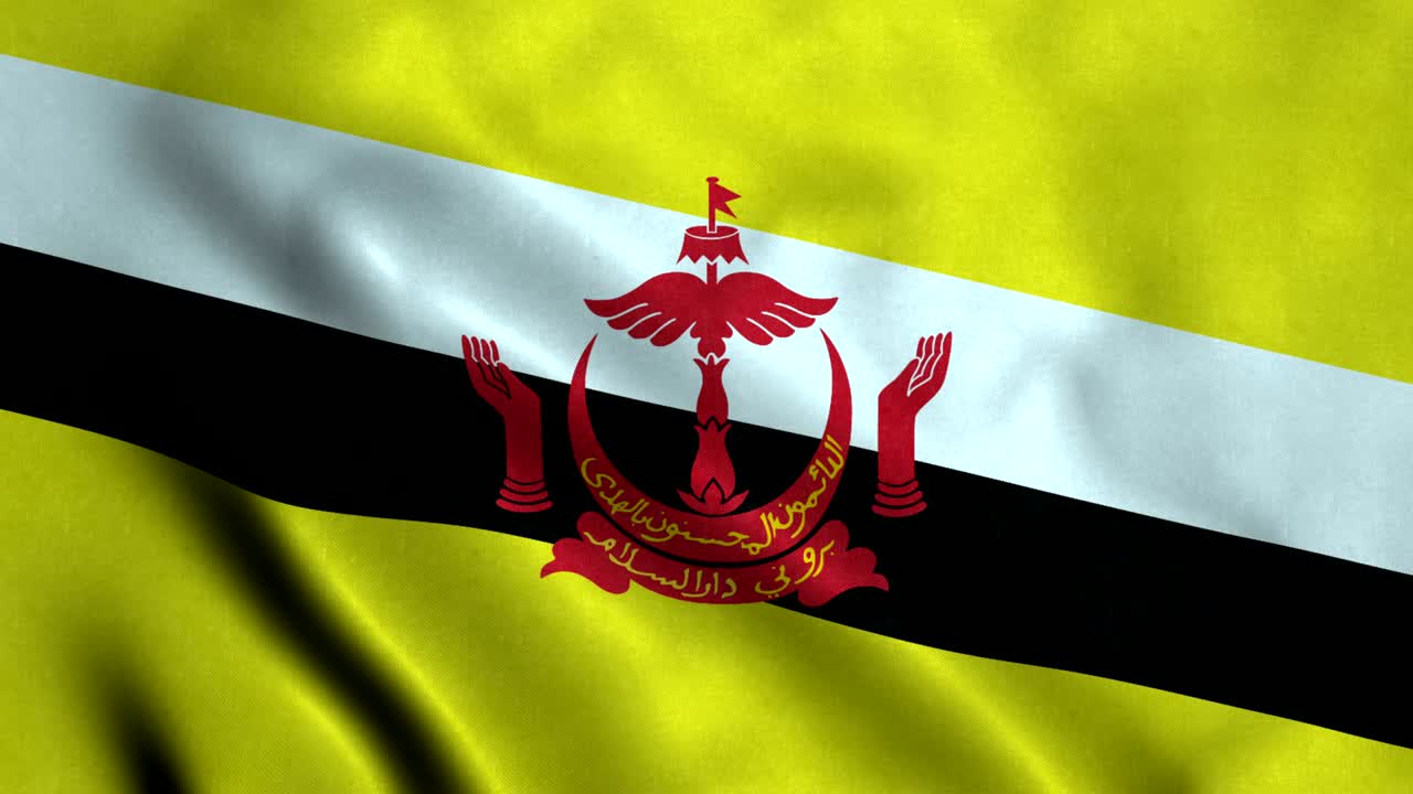 bandera de brunei con un bucle sin costuras de 4k