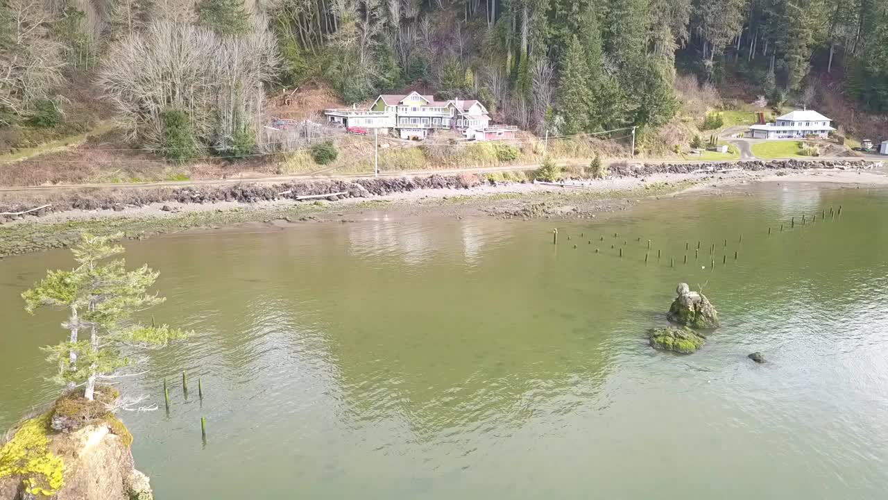 무인 항공기 1080p와 베이에 있는 바위 섬에 솔로 나무에 의해 비행