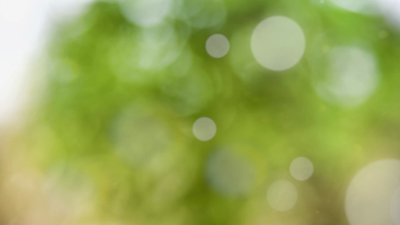 fondo de verano abstracto con bokeh