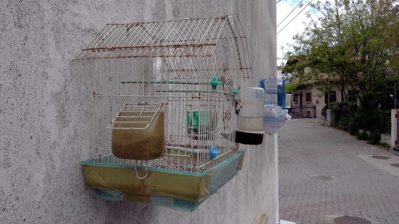 그리스 의 바가 근처 의 벽 에 있는 새