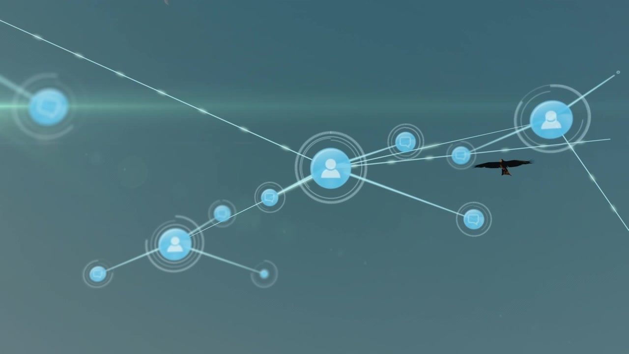 Digital Network Connection Graphic Overlaying a Flying Bird
