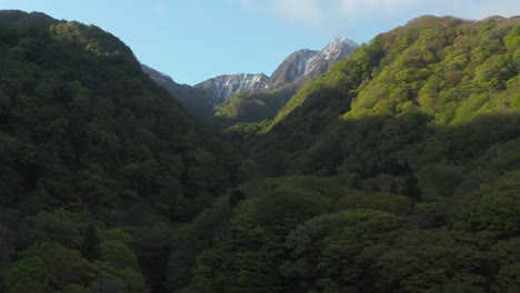 forests and mt daisen, tottori japan national park, tilt reveal shot