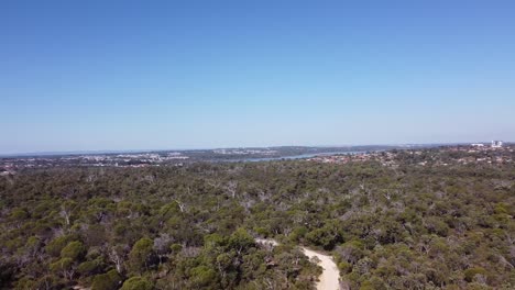 Mountain-bike-and-walking-trail-surrounded-by-trees-and-blue-sky-above