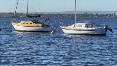 closeup of two yachts moored in the middle of the swan river in nedlands, perth, western australia