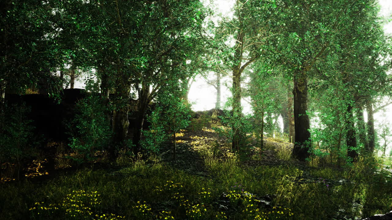 Sunlight filtering through lush green trees in an enchanting forest setting