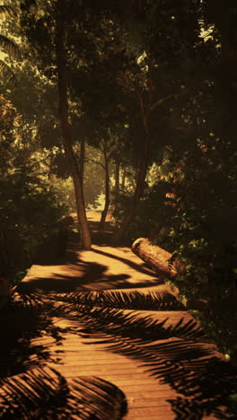 un camino de madera a través de un bosque tropical