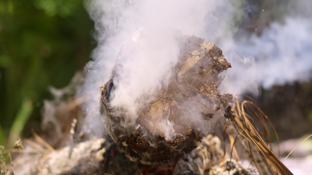 Thick white smoke coming out of tree log, small fire, close up burning smoking