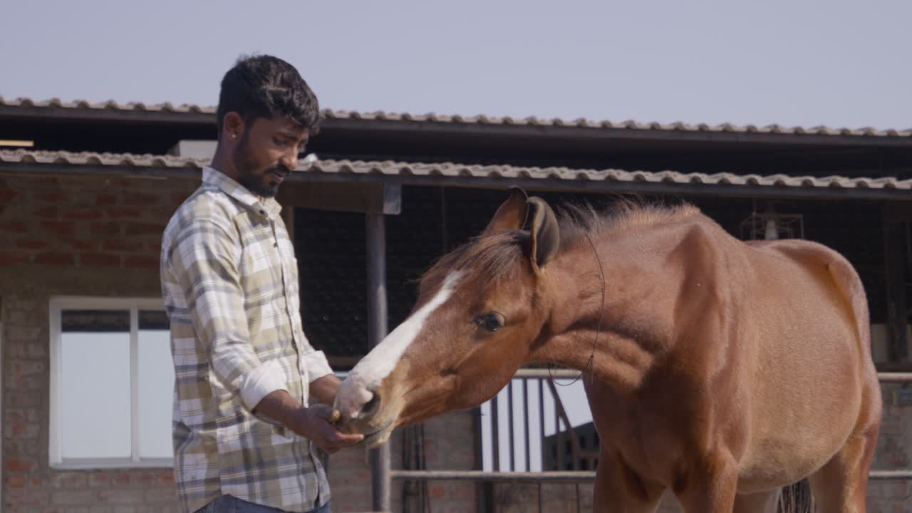 A slow-motion of South Asian man feeding a horse from his hand on a sunny day with rural building behind them