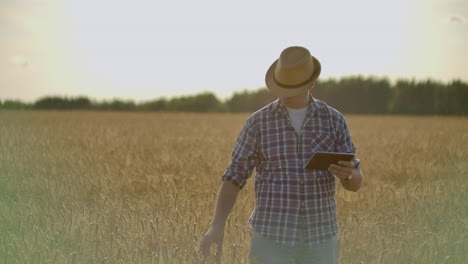 Joven-Agricultor-Sosteniendo-Tableta-En-Campo-De-Trigo