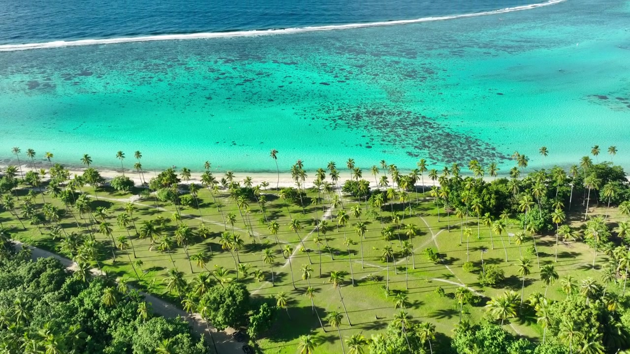 Paradise beach coastline with palm trees and turquoise water, Moorea, French Polynesia.