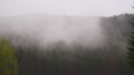 snowy mist over zugspitze idyllic wintry woodland wilderness, bavaria