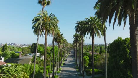 volando a través de las emblemáticas palmeras de beverly hills, tomas de drones de hermosas palmeras verdes en la calle residencial de beverly hills