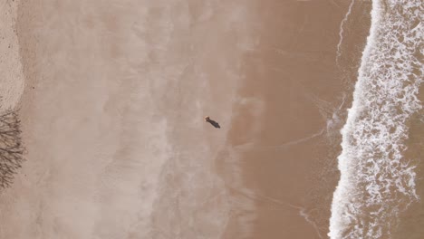 Descenso-Aéreo-Lento-Sobre-Una-Mujer-Parada-En-La-Playa-Mientras-Las-Olas-Rompen