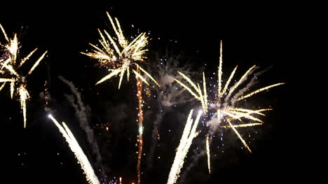 espectáculo de fuegos artificiales de año nuevo 14