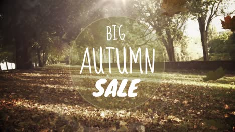 digitally generated video of autumn sale 4k