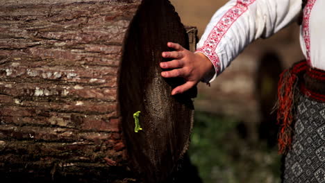 Romanian-girl-touches-the-cut-trees-1