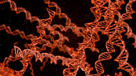 DNA code. Abstract 3d polygonal wireframe DNA molecule helix spiral. Loop animation.