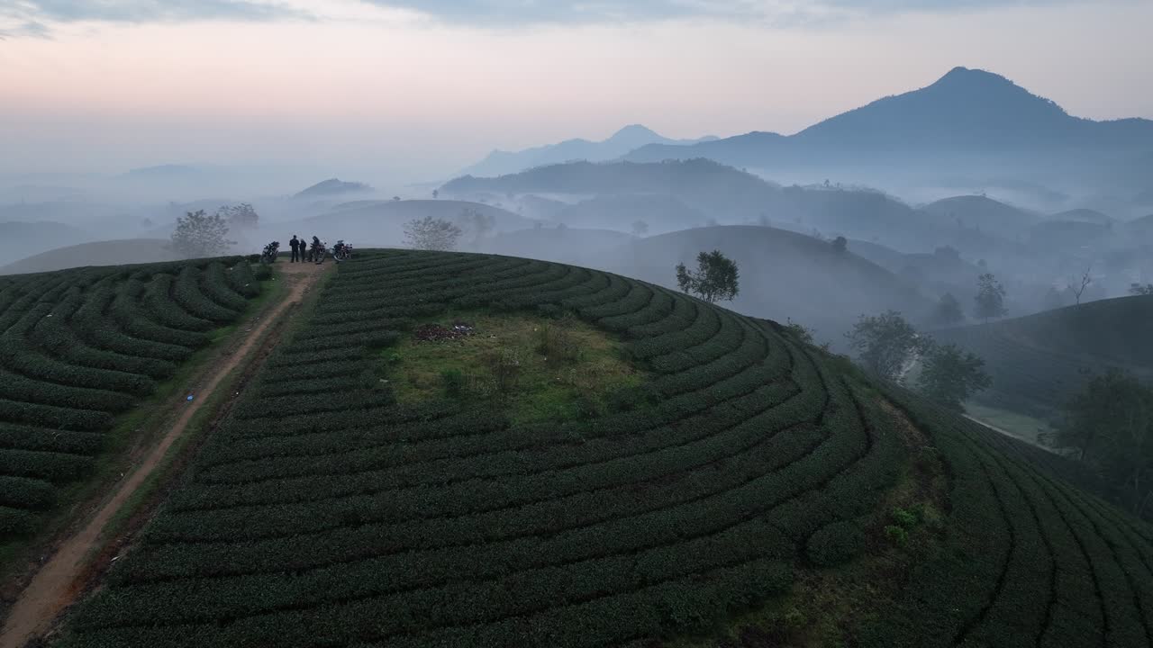 Un drone rivela un sentiero in cima a una collina che taglia le piantagioni di tè con montagne nebbiose all'alba a Phu Tho, Vietnam