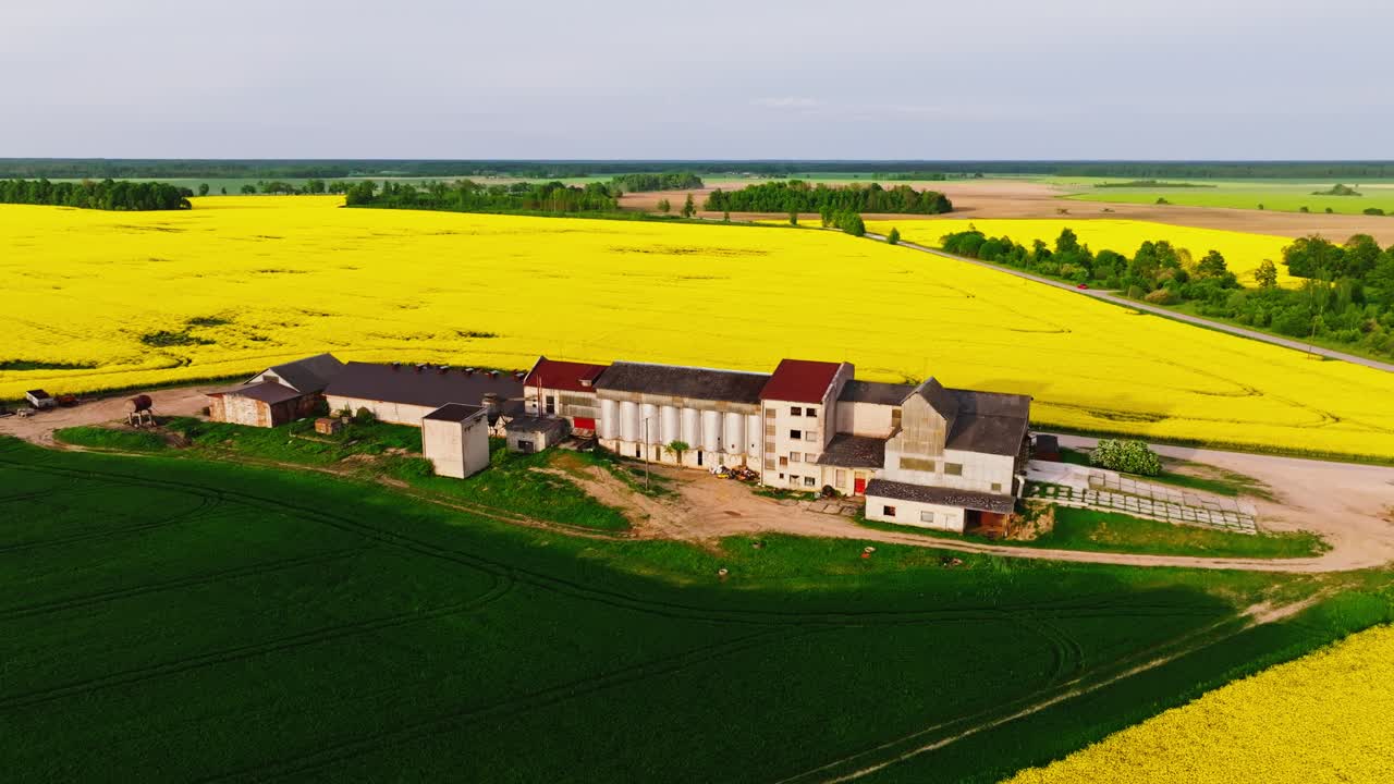 Sunset lights up rapeseed fields, farm buildings in wide rural landscape, Latvia