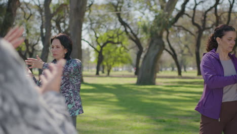 women practicing tai chi in a park