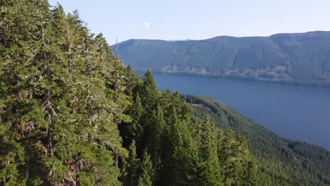 Alte-Forststraße-Durch-Den-Baum-über-Dem-Pfadfinderlager-Am-Great-Central-Lake---Thunder-Mountain,-Vancouver-Island,-BC,-Kanada