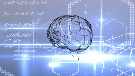animación del cerebro con tecnología y procesamiento de datos