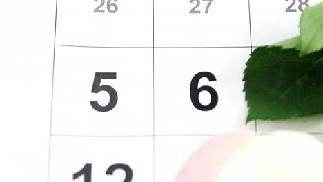 Pink-rose-on-calendar