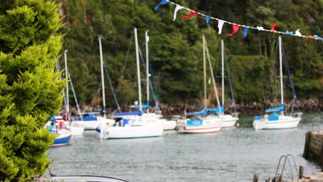 sailboats anchored in a scenic harbor