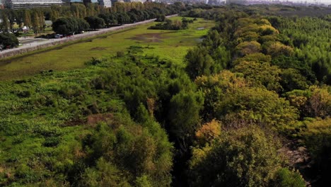 by day in the ecological reserve: aerial view moving away from the large wetland surrounded by leafy trees