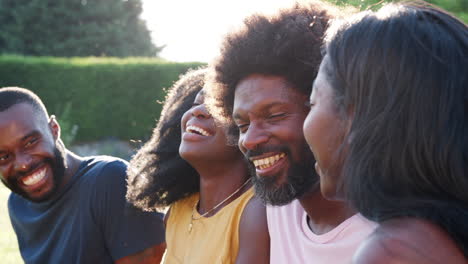 two black couples sitting on the grass talking, close up