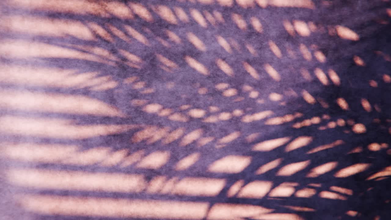 Dynamic Abstract Shadows of Palm Leaves on a Textured Wall