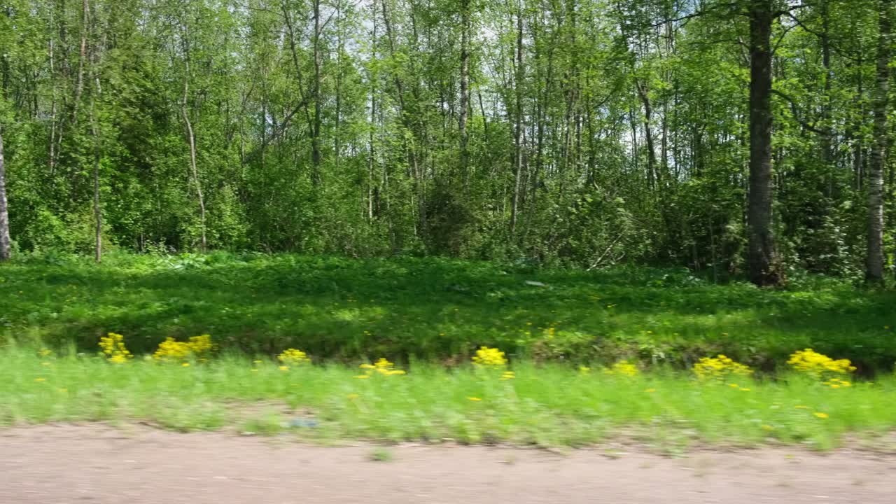 вид через боковое окно автомобиля авто в движении на дороге. шоссе вдоль зеленого леса и деревьев летом. туризм и путешествия, концепция путешествия. красивая природа и ландшафт. автомобиль, движущийся по дороге.