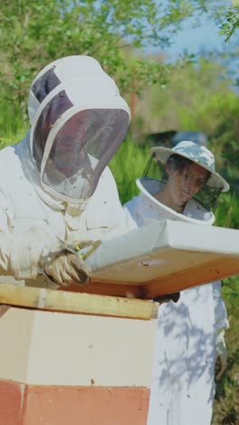 beekeepers inspecting a beehive outdoors
