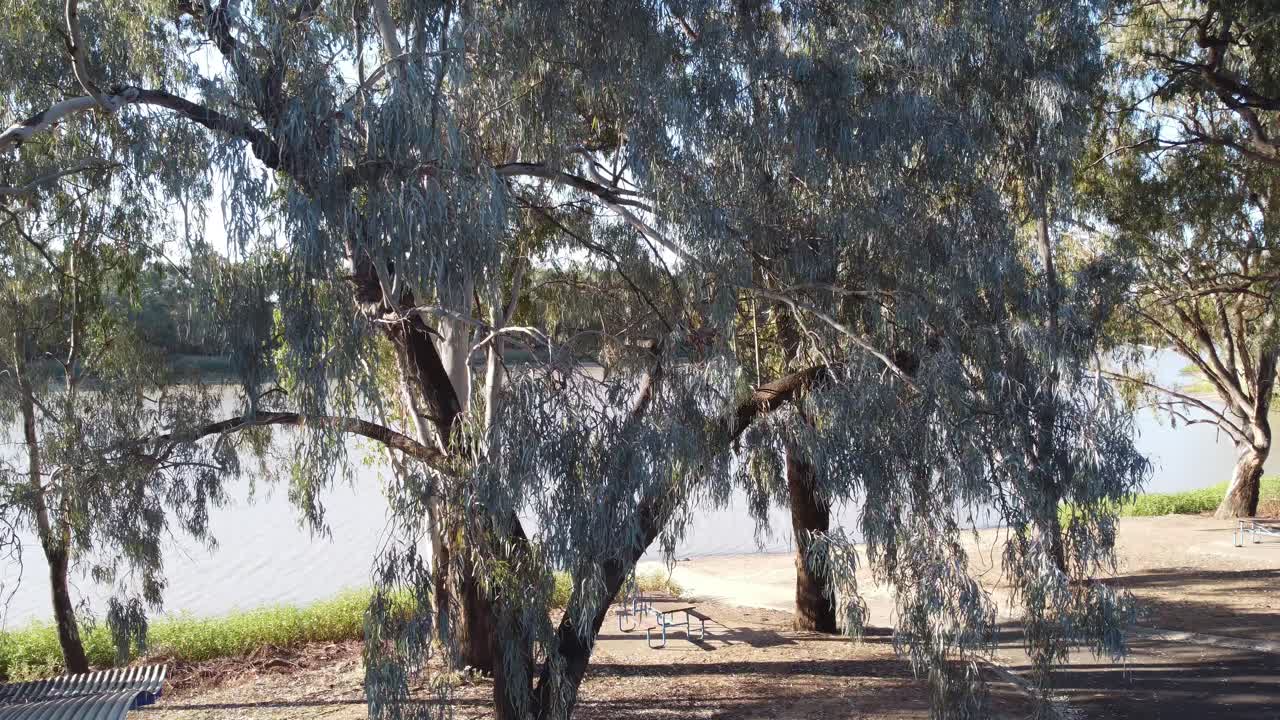 드론이 강변에 올라 나무와 강을 배경으로 보여줍니다.