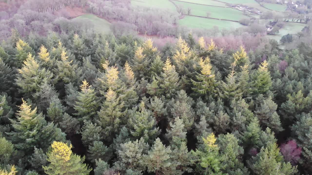 Aerial decending shot over forest trees to reveal the beautiful view over Sidmouth Devon England