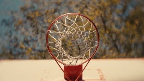 aro de baloncesto con pelota