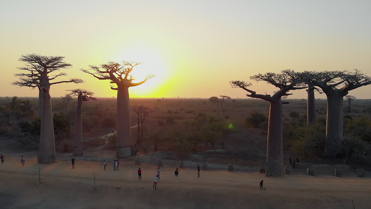 antena: puesta de sol en la avenida de los baobabs en madagascar