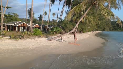 dramatic aerial view flight circle drone footage
of a yoga girl stand on one leg under palmtree at koh kood seacret beach thailand, sunset 2022