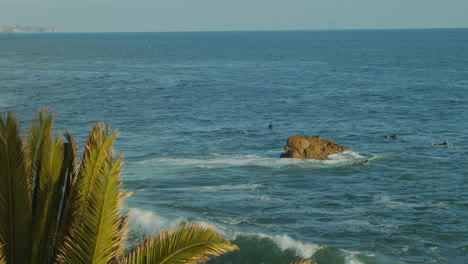 surfers wading out into the waters of the pacific ocean on their surf boards to catch some waves on a sunny day off the coast of california