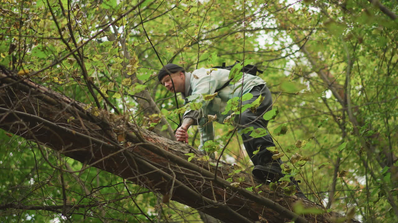 botanist climbing mossy fallen trunk in forest, wearing harness and backpack while inspecting vines and leaves, careful ascent with steady footholds, filtered sunlight through canopy, documentary