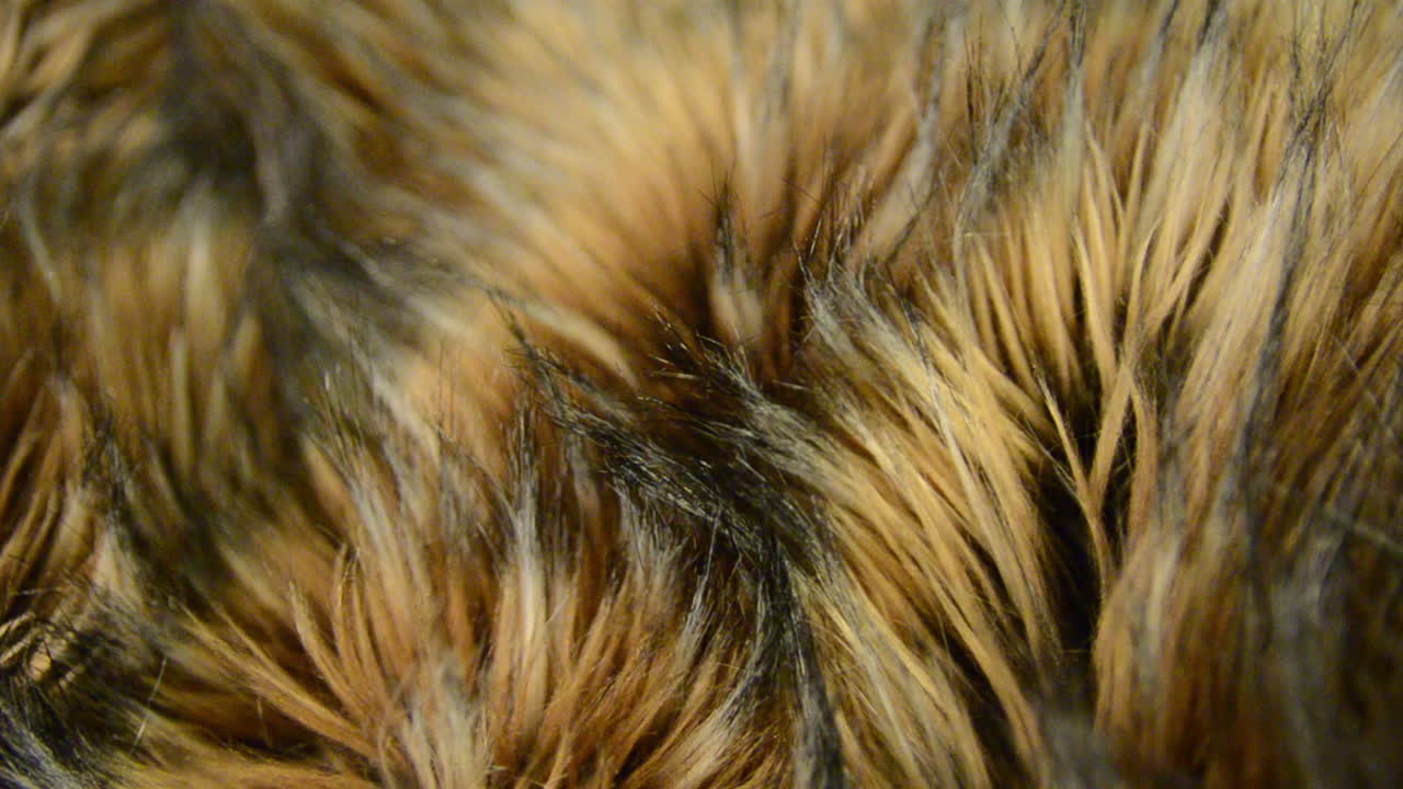 인조 모피 직물의 클로즈업