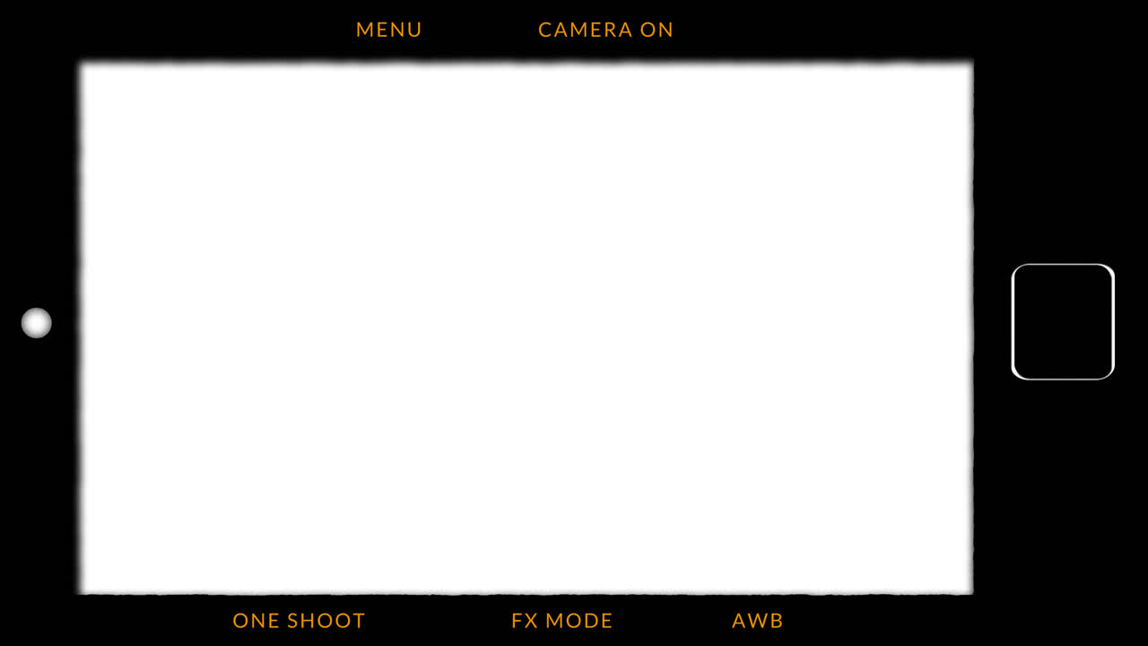 Digital Camera Viewfinder Interface with Blank White Screen