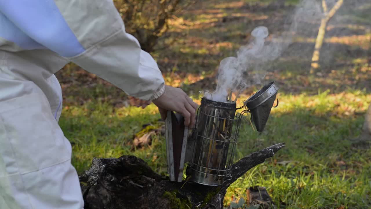 Včelař používající dýmák na farmě.