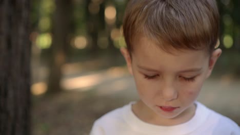 boy in a white shirt eats cookies 02