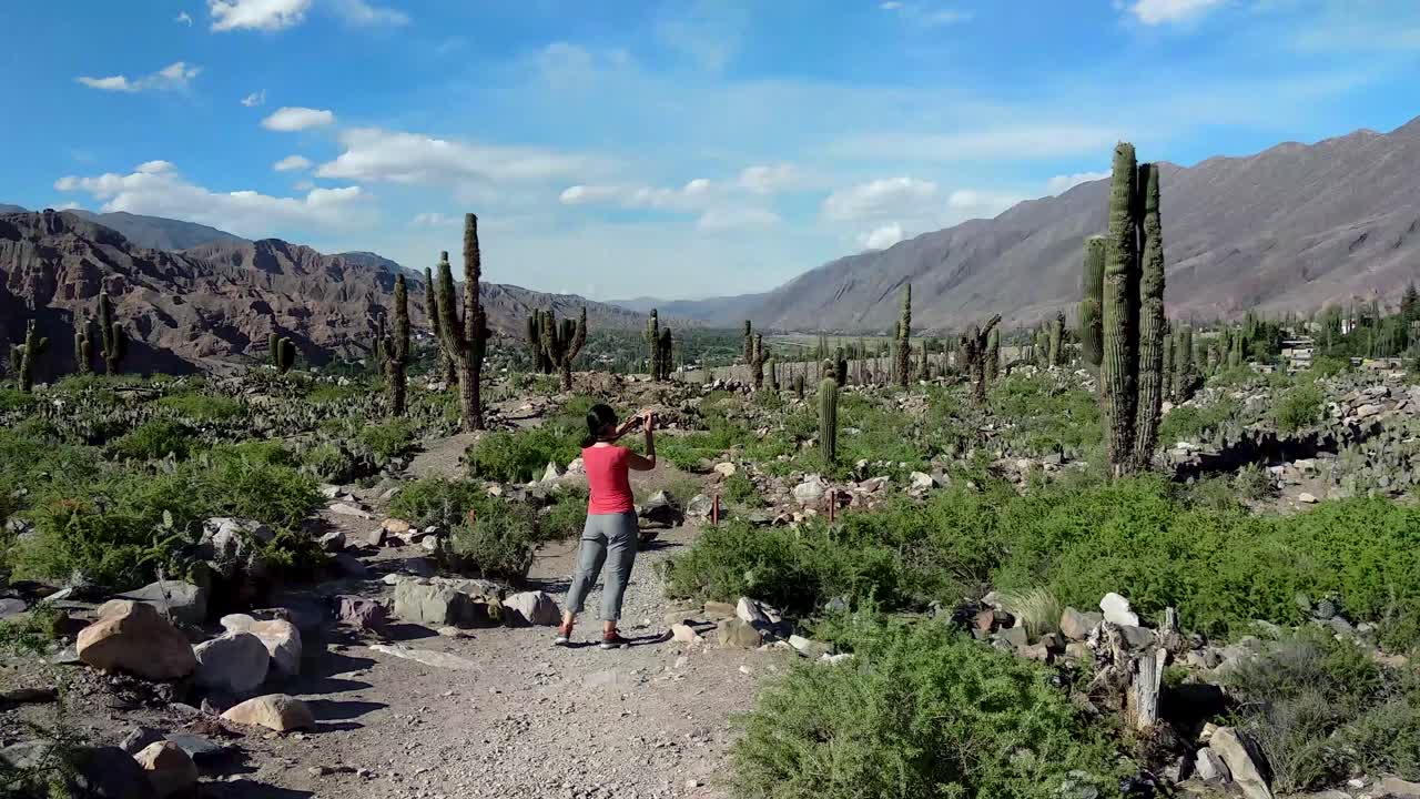 hermosa morena turista caminando y tomando fotos de la vegetación en las ruinas pre incas de pucara de tilcara en un día soleado