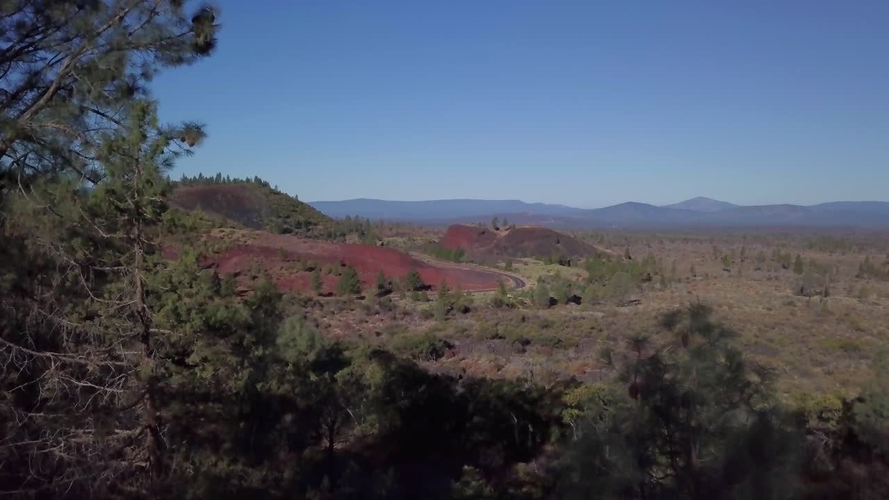 무인 항공기 나무에 비행 하 고 북부 캘리포니아에서 lassen 카운티에서 도로 위를 패닝 하는 동안 도로 쪽으로 비행