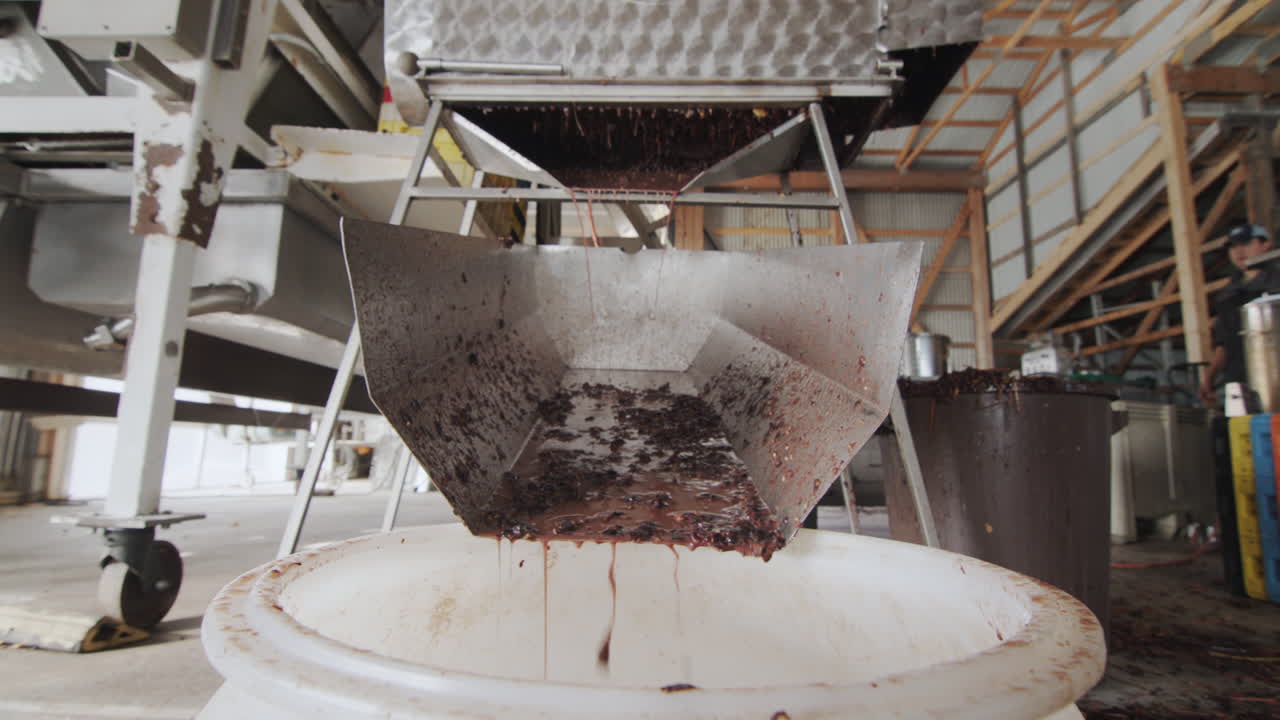 와인 제조를 위한 원재료는 큰 배럴로 굴레를 통해 공급됩니다. 작은 가족 와이너리에서 일합니다. 4k 비디오