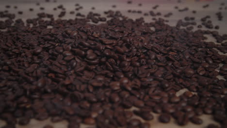 granos de café en la fábrica