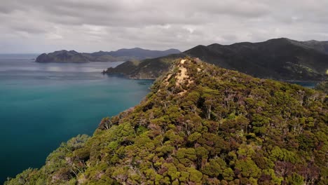 Lookout-at-Coromandel-Coastal-Walkaway,-Cloudy-day-above-New-Zealand-coastline,-aerial